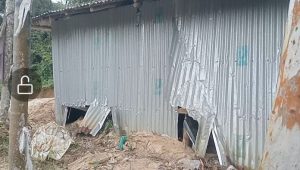 পেকুয়ায় জায়গা নিয়ে বিরোধে নারীকে মারধরের অভিযোগ, ঘর সংস্কারে বাধা; টিন কেটে বসতঘর নষ্টের দাবি