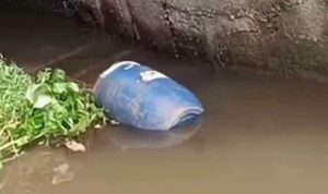 য়মনসিংহে ড্রামের ভেতর অজ্ঞাত ব্যক্তির মরদেহ উদ্ধার
