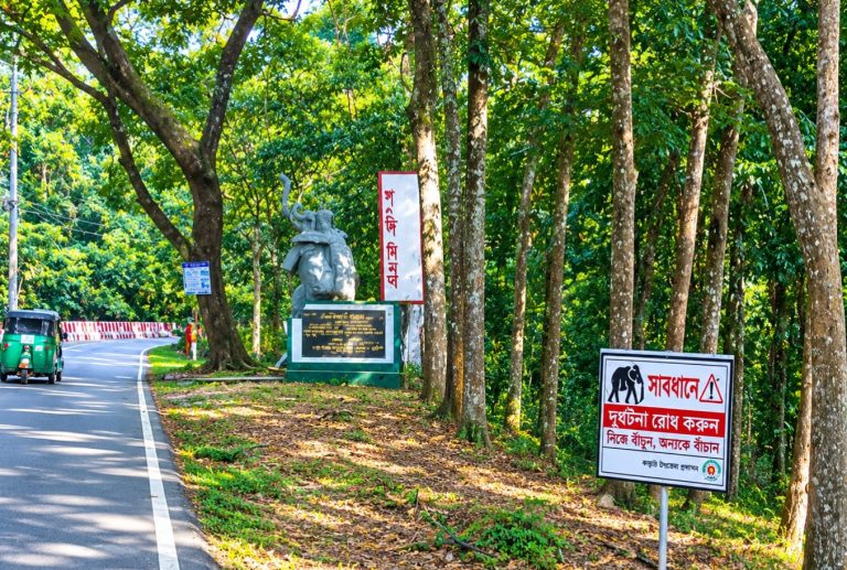 কাপ্তাই ভ্রমণে আসা পর্যটকদের কয়েকটি বিষয়ে বিশেষ সতর্কতা অবলম্বনের পরামর্শ দিয়েছেন সংশ্লিষ্ট ব্যক্তিরা।
