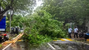 মধ্যরাতে অন্ধ্রপ্রদেশে ঘূর্ণিঝড় ‘অর্ণব’-এর আঘাত