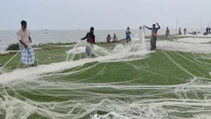 মধ্যরাতে শেষ হচ্ছে নিষেধাজ্ঞা, ইলিশ শিকারের প্রস্তুতি