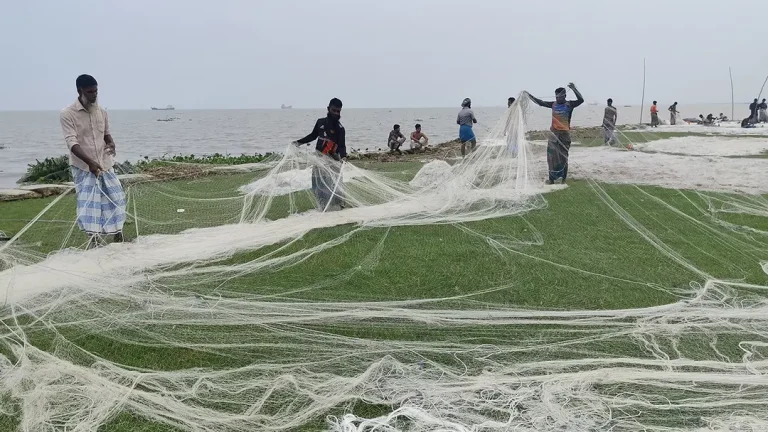 মধ্যরাতে শেষ হচ্ছে নিষেধাজ্ঞা, ইলিশ শিকারের প্রস্তুতি