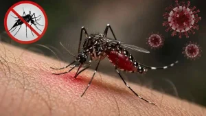 ডেঙ্গুতে আক্রান্ত এক লাখ ছাড়াল