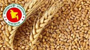 যুক্তরাষ্ট্র থেকে গম আমদানিতে দুই প্রতিষ্ঠানের দরপ্রস্তাব নেওয়ার অনুমোদন