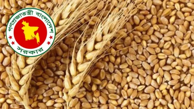 যুক্তরাষ্ট্র থেকে গম আমদানিতে দুই প্রতিষ্ঠানের দরপ্রস্তাব নেওয়ার অনুমোদন