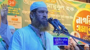 বিএনপিকে ভূতে ধরেছে, যে ভূতে হাসিনাকে ধরেছিল : মামুনুল হক